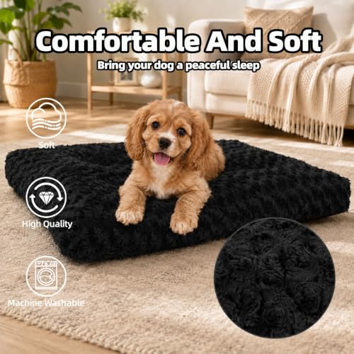 Dog Bed Medium Size (Black / 23"L x 18"W x 3"Th)