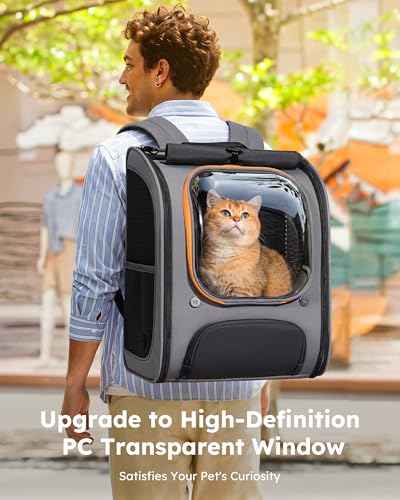 Cat Backpack Carrier (Gray-on-Gray Color Blocking / 12.6"L x 10.2"W x 16.5"H)