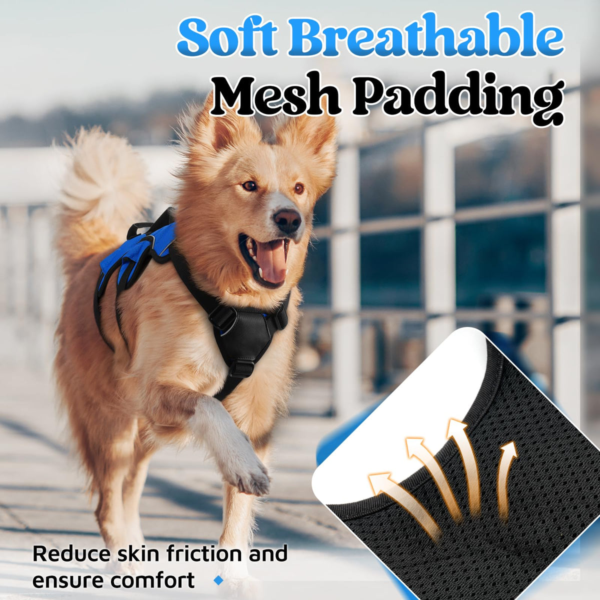 Escape Proof Dog Harness for Large (Blue / Large)