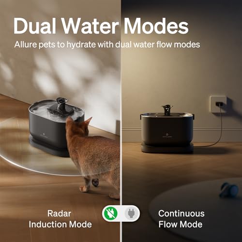 Dockstream 1 Cat Water Fountain (Black / Cordless Fountain)