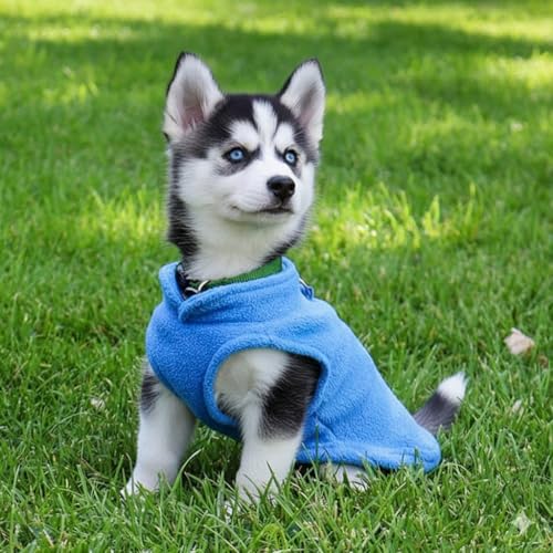 Dog Fleece Vest Sweater with Leash Ring (L (10-16lbs) / Blue)