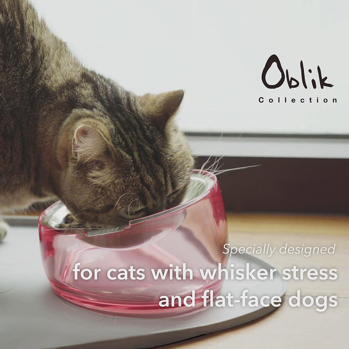 Pet Oblik Acrylic Raised Dog Food Water Bowl Stainless Steel Slanted Oval Dish for Short Leg Puppy & Small Medium Pet (Pink / 1.5 Cups Oval Dish)