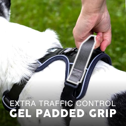 Embark No Pull Dog Harness (S / Black)
