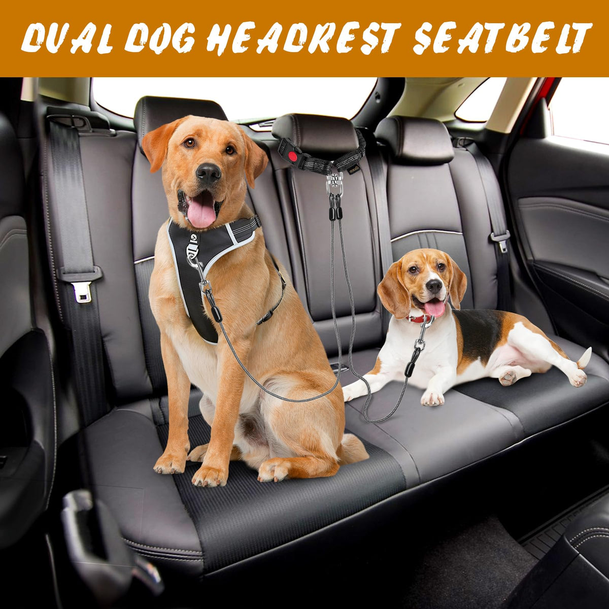 Double Dog Seat Belt (Black(Dual Dog) / 1 Pack)