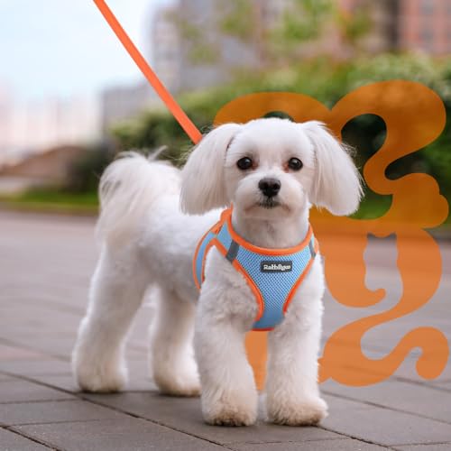 Dog Harness Small Sized and Leash Set (Blue & Orange / M (Chest: 16.0"-18.5"))