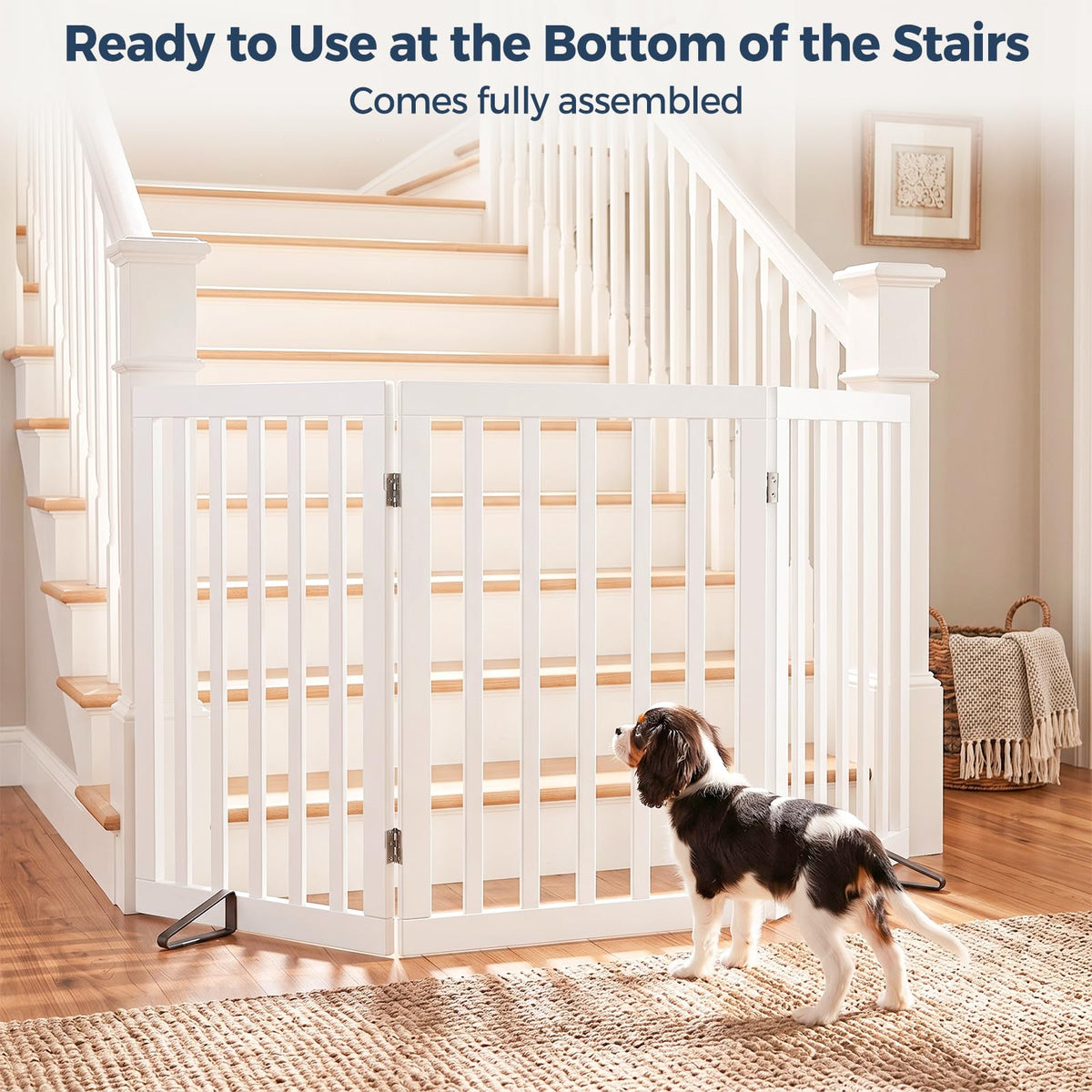Dog Gate Indoor (White / 56"Wx24"H, 3-Panel)