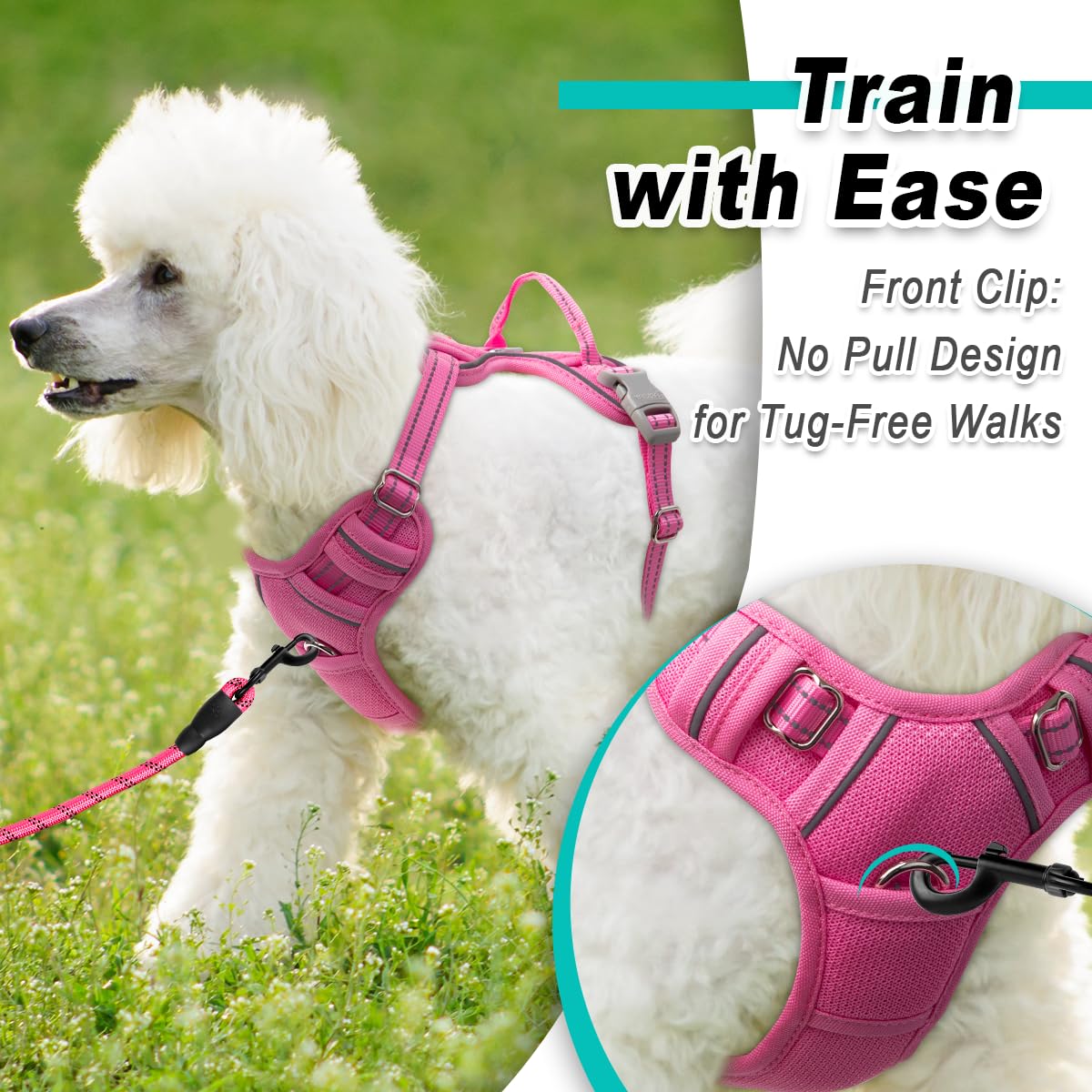 Dog Harness for Small Sized Dog No Pull Mesh 2 Clips Dog Vest (Pink-Mesh / Small)