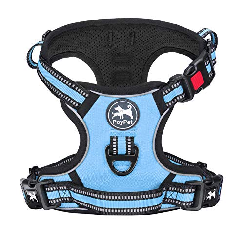Dog Harness Medium (M / Light Blue)