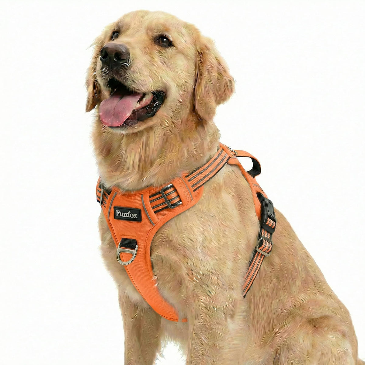 Dog Harness for Large Dogs (Orange / Large)