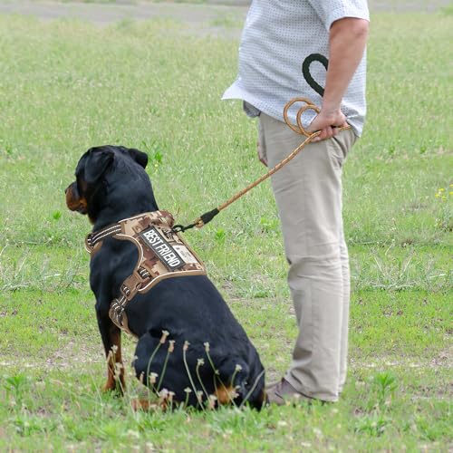 Tactical No Pull Dog Harness with Leash (Desert Camo / X-Large)