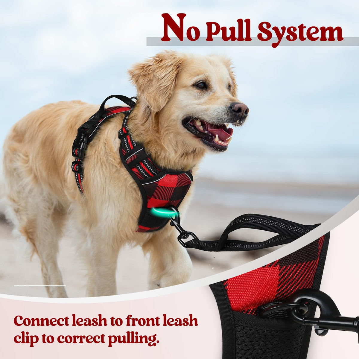 Dog Harness No Pull for Small Dogs with 2 Leash Clips (Small / Red Plaid)