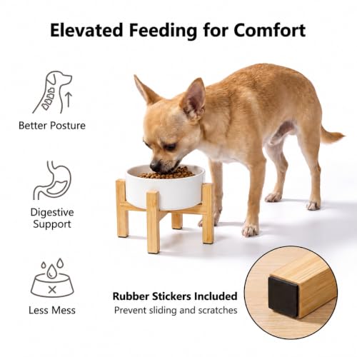 Raised Dog Bowl (Small / Grey)