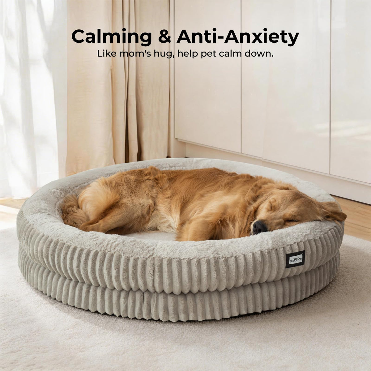 Donut Dog Bed (43.0"L x 43.0"W x 8"Th / Wind Chime)