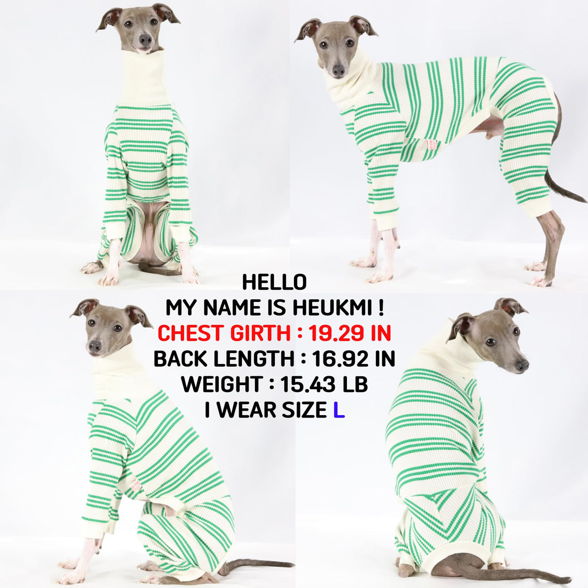 D Doggy Star Italian Greyhound Clothes Soft Stretchy Onesie Refined Stripe Outfit Whippet for Dog Coat (3XL / Onesie Green Stripe)