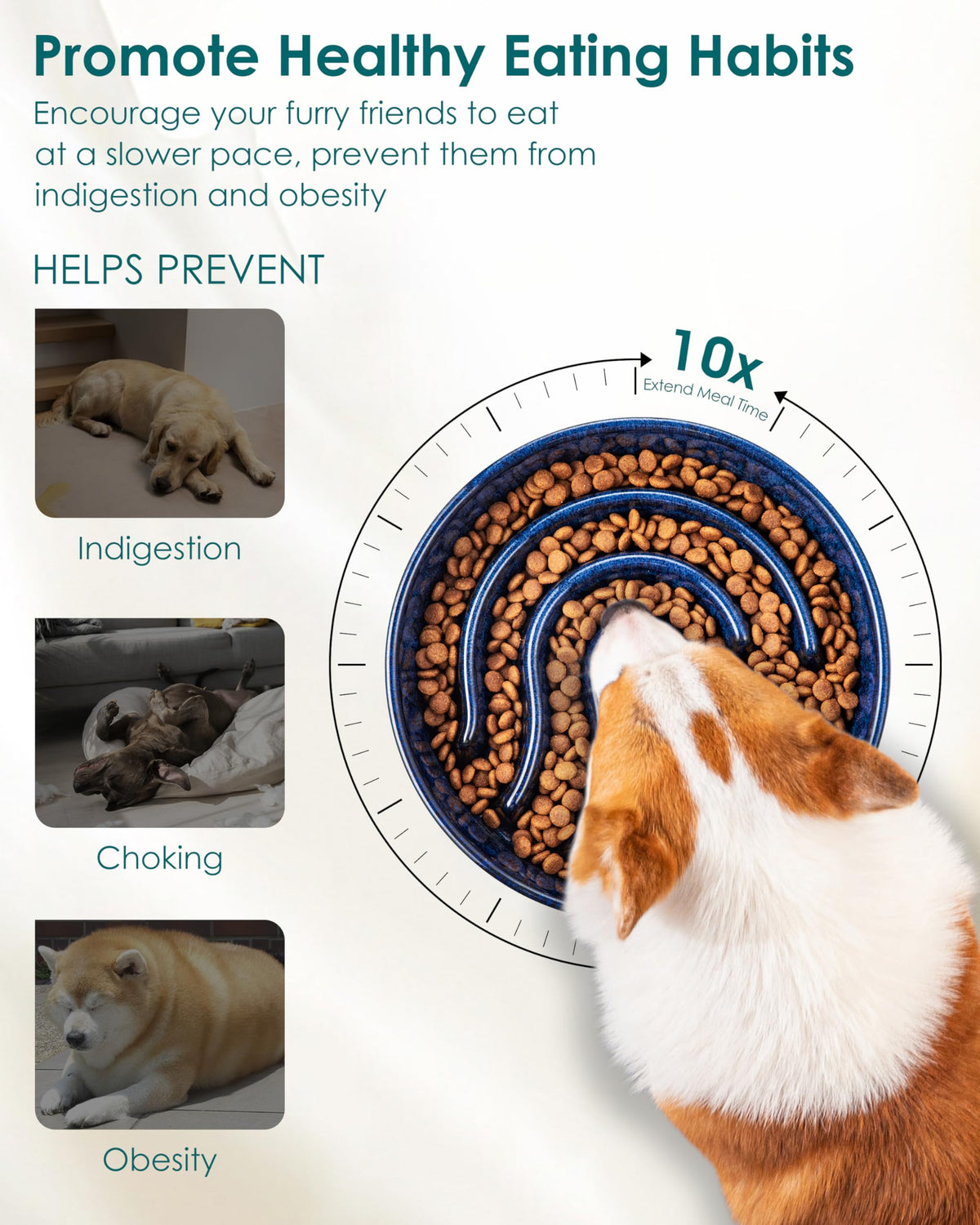 Slow Feeder Dog Bowl (Blue / 1.5 Cups)