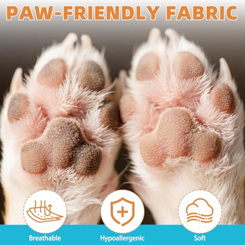 Dog Socks Shoes for Hot Pavement (Orange / X-Large(4 Pack))