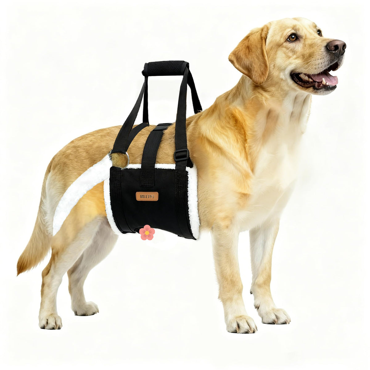 Dog Lift Harness Sling for Large Dogs (XL)