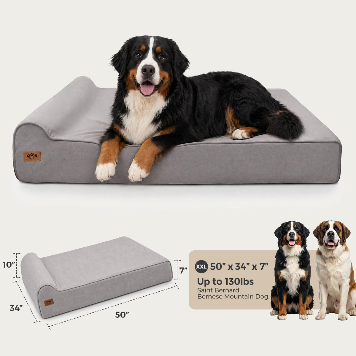 XXL 35D Memory Foam Dog Bed for Extra Large Dogs (Style A-Grey / X-Large)