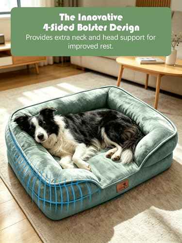 Orthopedic Dog Bed with Sides (35.0"L x 25.0"W x 6.5"Th / Green)