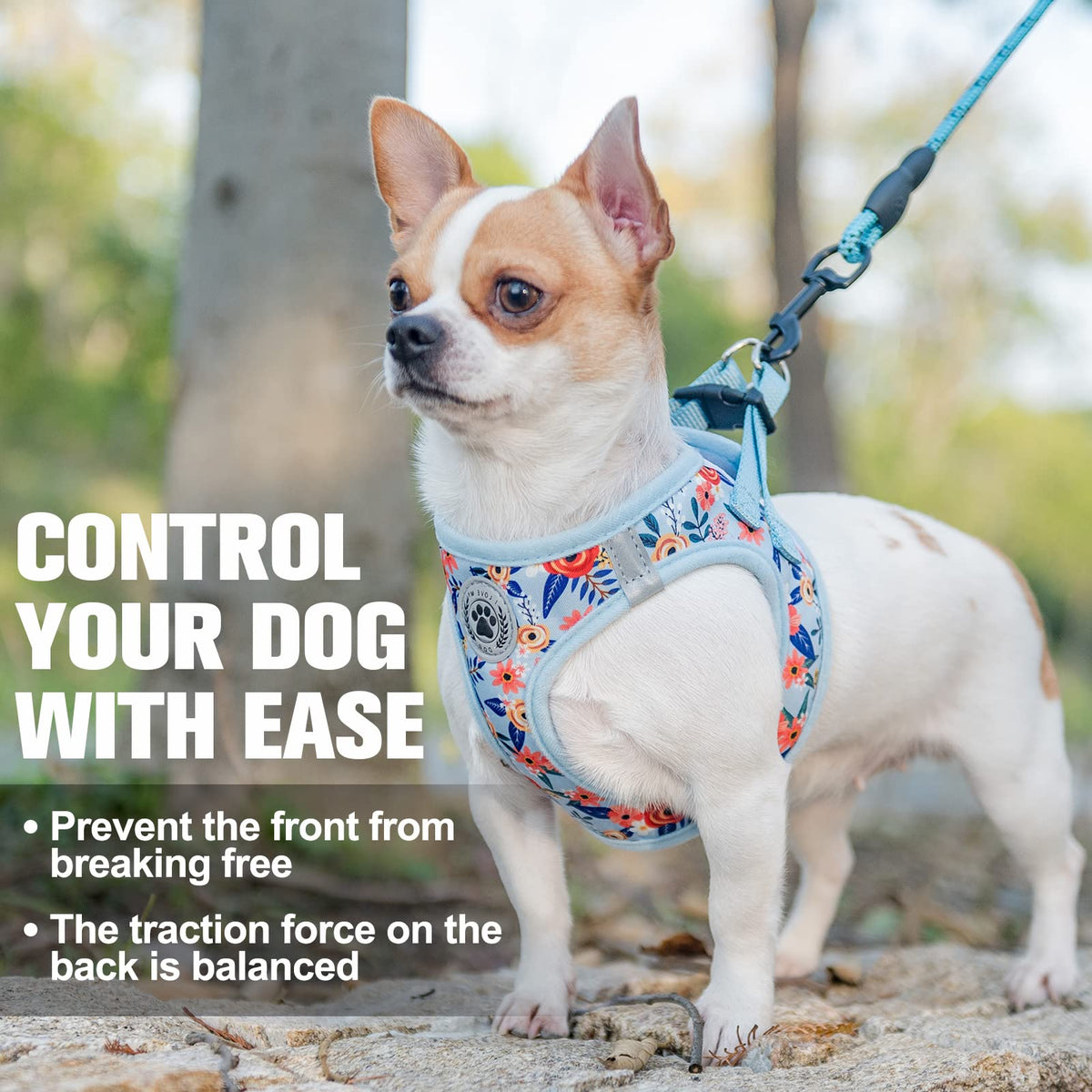 Large Dog Harness and Leash Set (Large(Chest Girth 18" - 21") / Blue Rose)