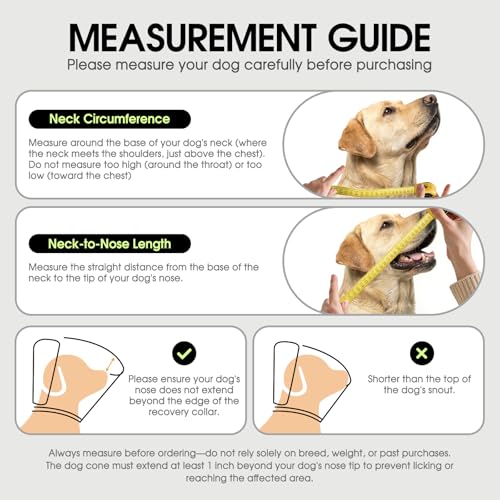 Dog Cone Soft Cone for Dogs to Stop Licking (Purple Blue / Large)