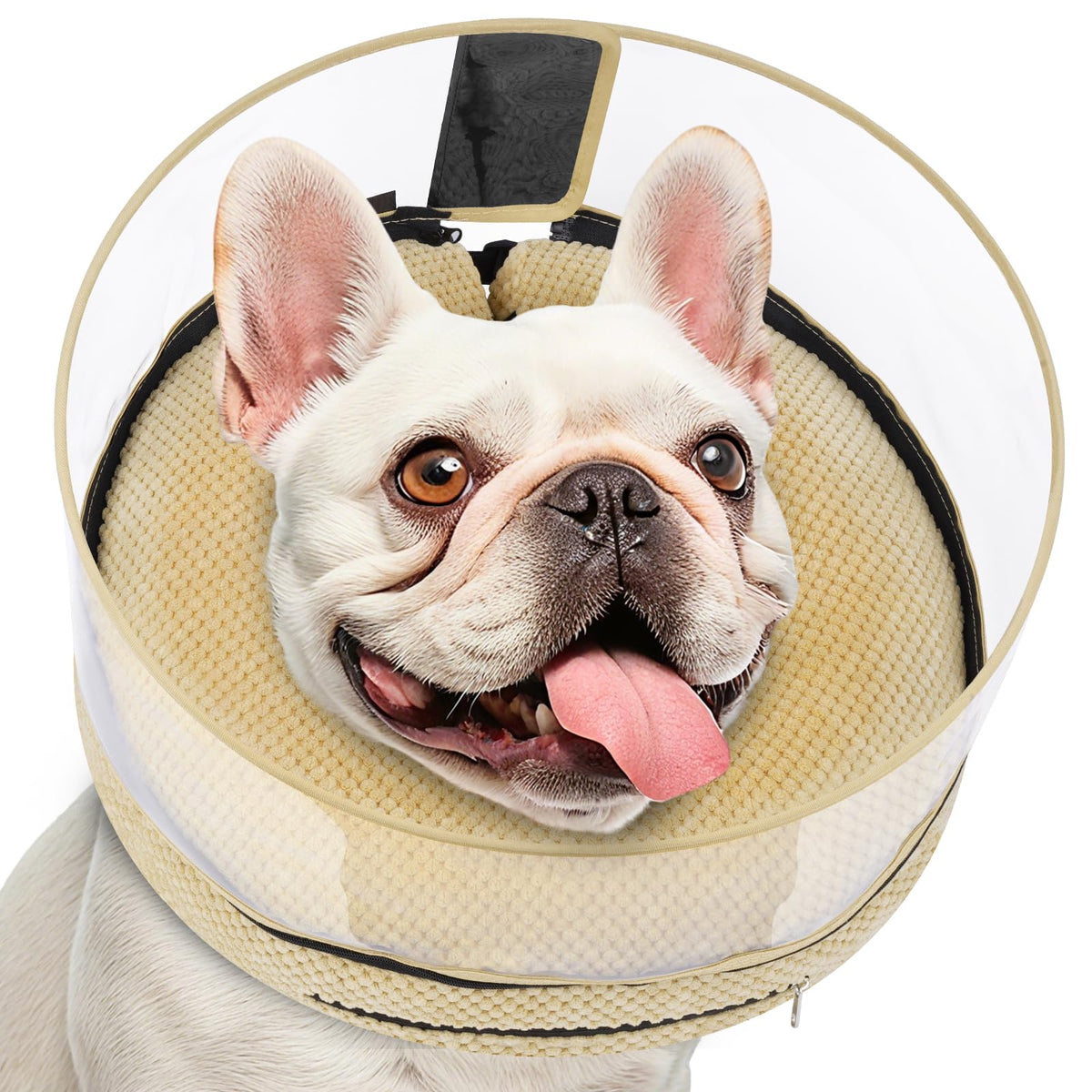 Inflatable Dog Cone with Clear Shield for Added Coverage (Khaki / M+ (Neck: 11"-14"))