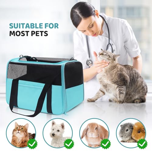 JUNGYOUN Premium Cat Carrier (Blue / 18.0"L x 12.5"W x 14.2"H)