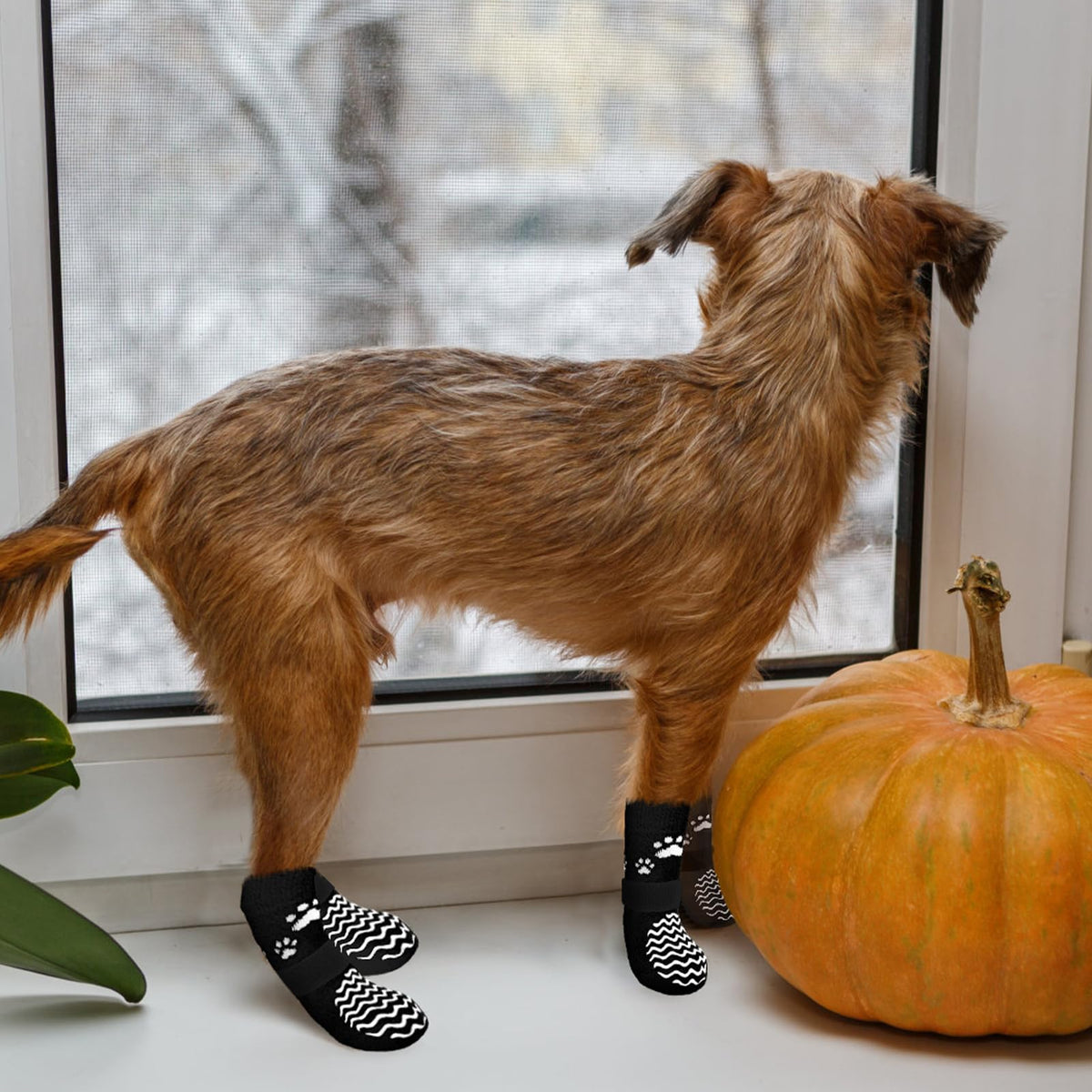 Anti Slip Dog Socks to Prevent Licking Paws for Hot Pavement (Thick Black / Medium)