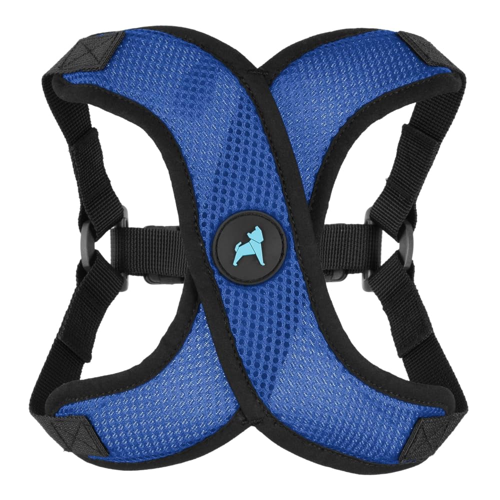 Comfort X Step (X-Small (11.8-14") / Blue)