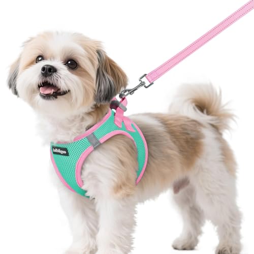Dog Harness Small Sized and Leash Set (Teal & Pink / S (Chest: 15.1"-16.5"))