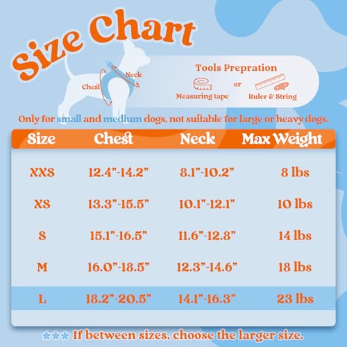Dog Harness Small Sized and Leash Set (Blue & Orange / L (Chest: 18.2"-20.5"))