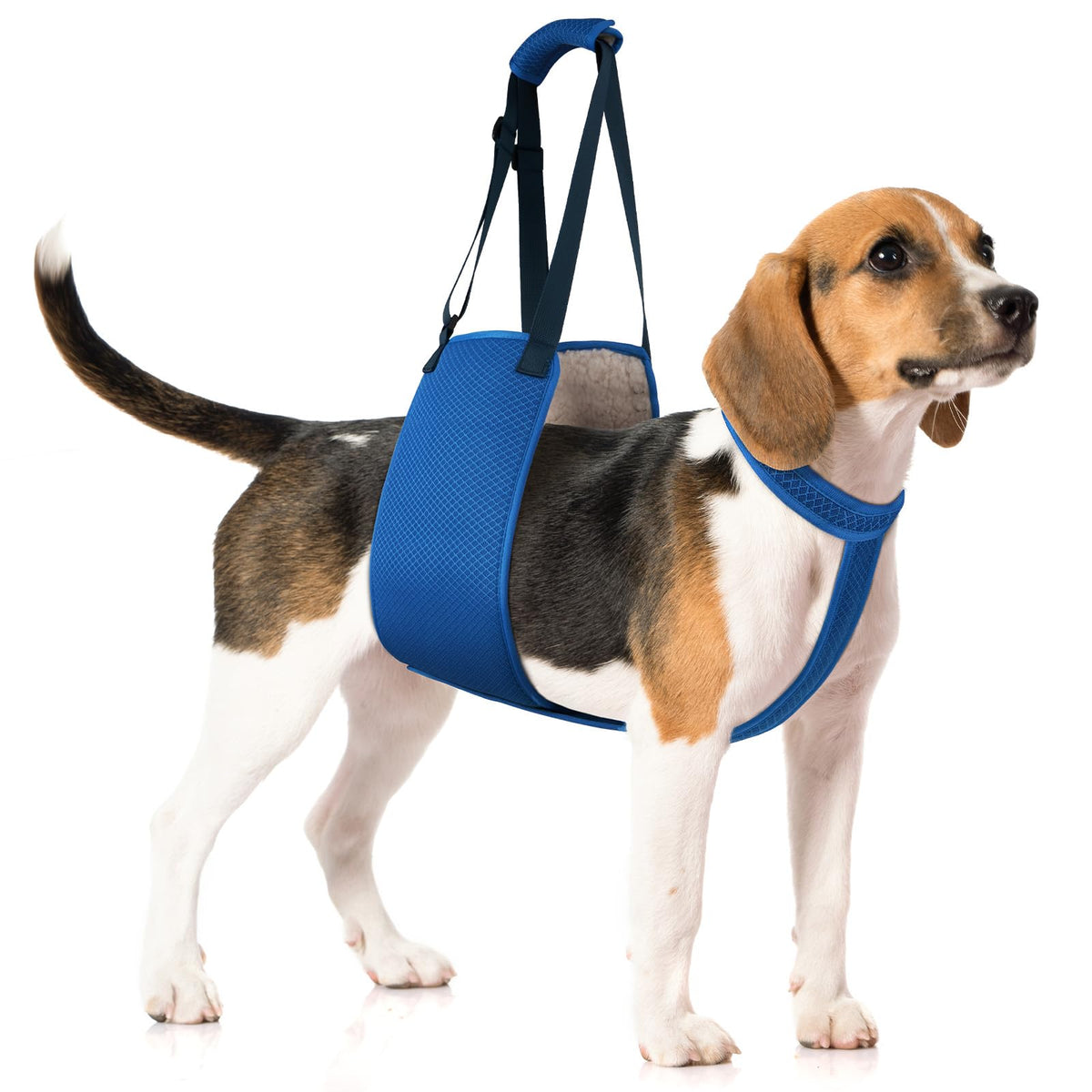 Adjustable Dog Lift Harness with Fixing Strap (Medium)