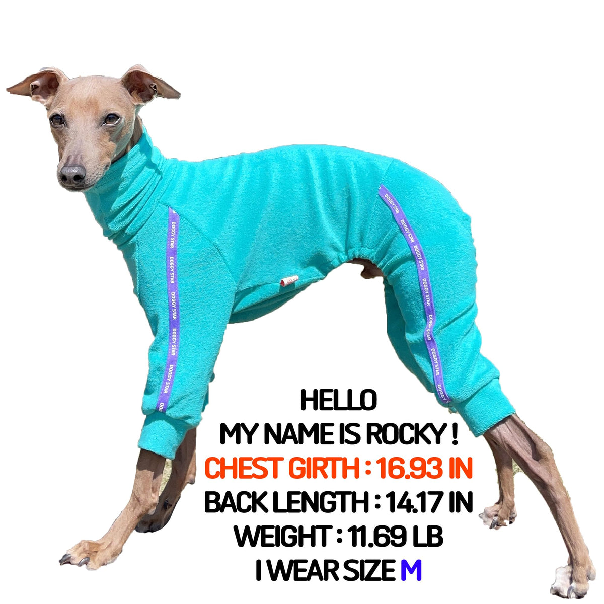 D Doggy Star Italian Greyhound Clothes Stretchy Towel Sports Onesie Outfit Whippet for Dog Coat (S / Towel Turquoise)