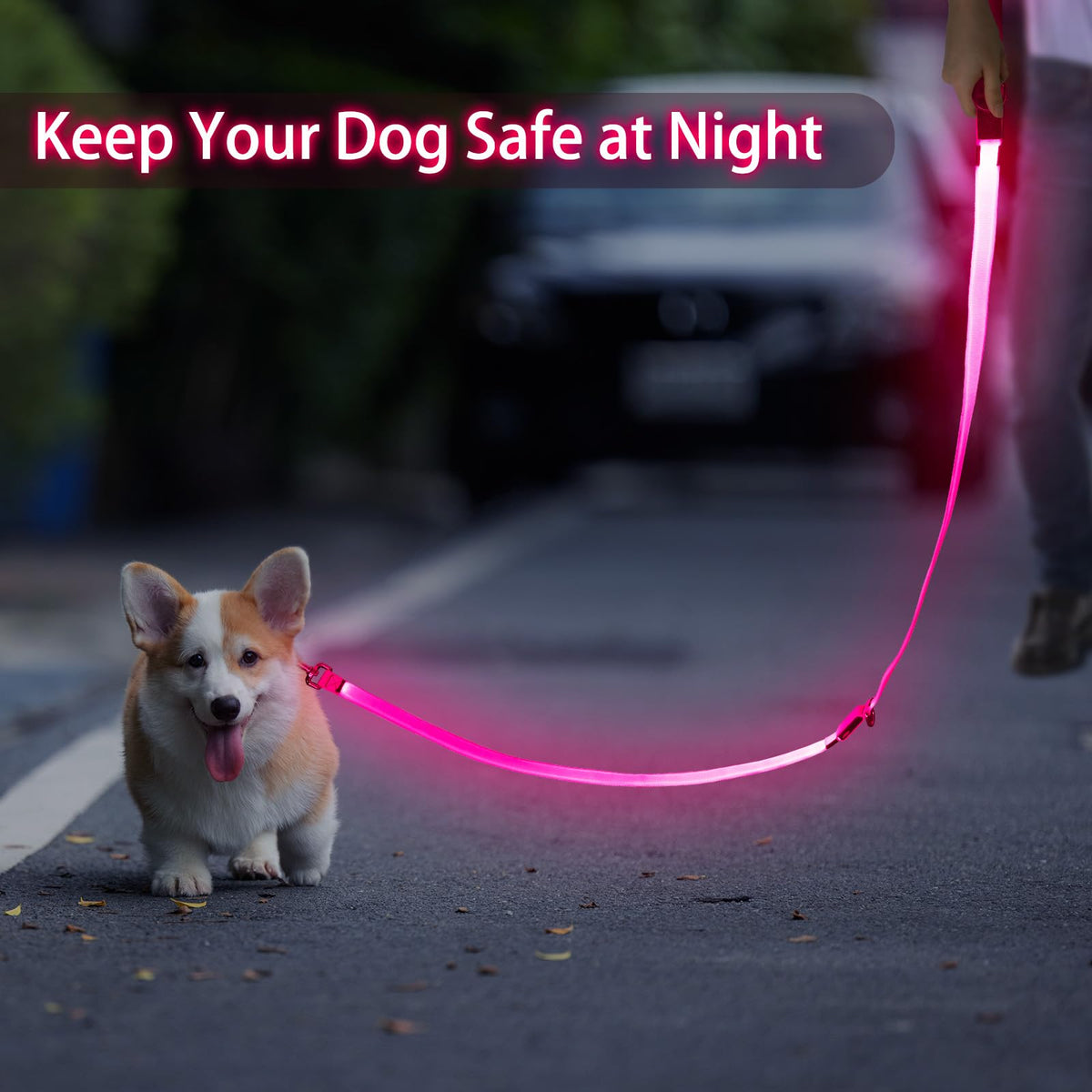 LED Light Up Dog Leash (Pink / 6 Ft)