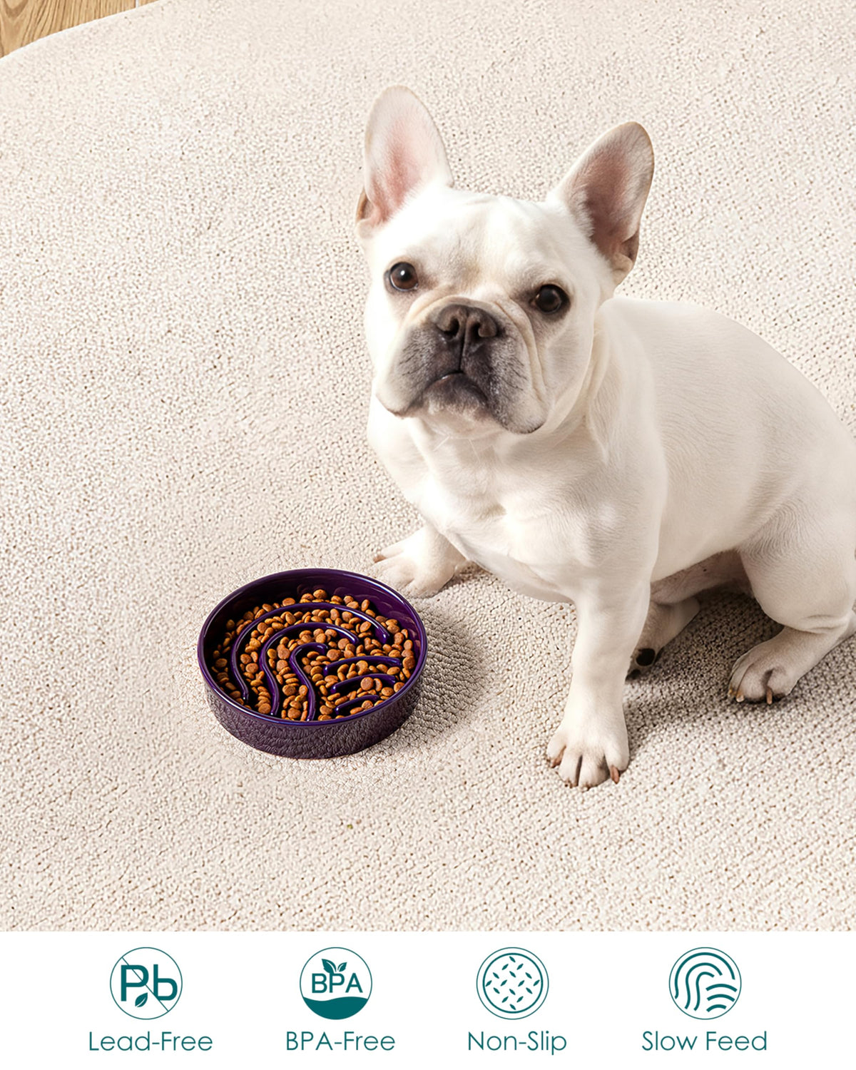 Slow Feeder Dog Bowl (Dark Purple / 0.6 Cups)