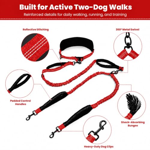 Hands Free Double Dog Leash