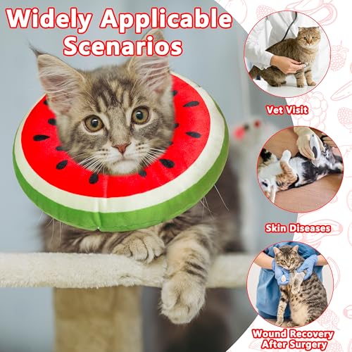 Cat Cone Collar Soft (Watermelon / Medium)
