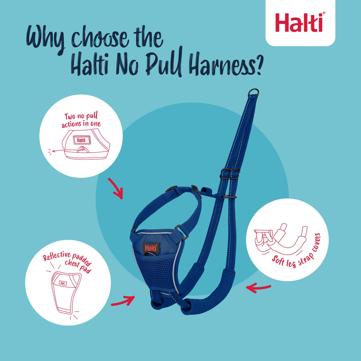 No Pull Dog Harness (Cobalt Blue / L)