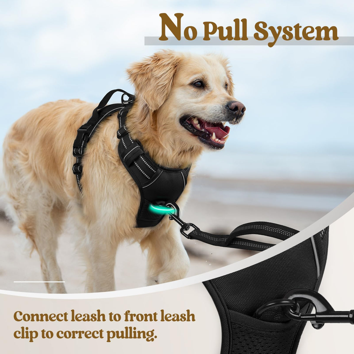 Dog Harness No Pull for Large Dogs with 2 Leash Clips (Large / Black)