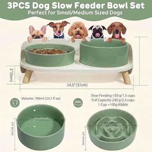 Elevated Slow Feeder Dog Bowls with Splash Proof Stand (Medium / Green)