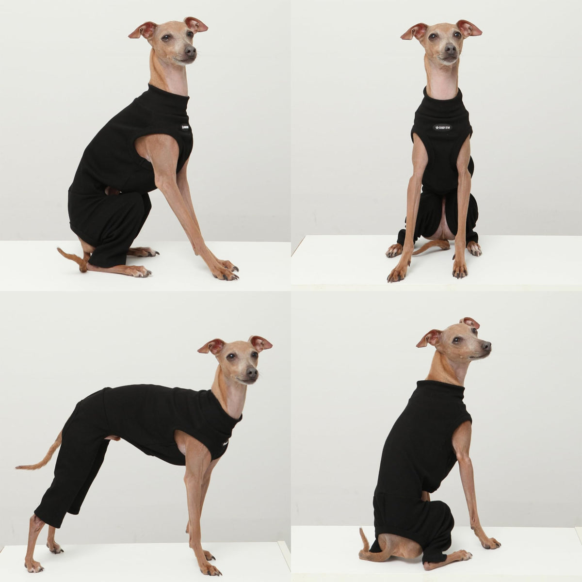 D Doggy Star Italian Greyhound Clothes High (M / COORDI BLACK)