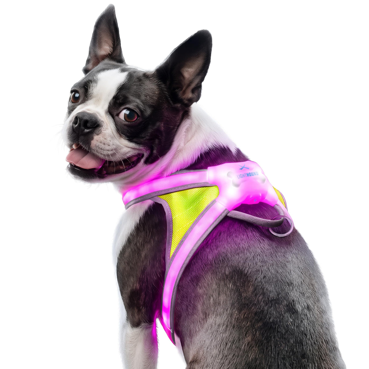 LightHound Light Up Reflective Dog Harness (Medium)