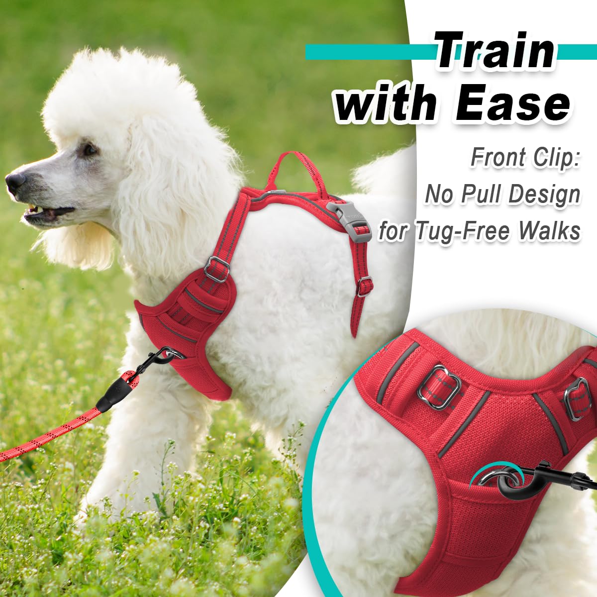 Dog Harness for Small Sized Dog No Pull Mesh 2 Clips Dog Vest (Red-Mesh / Small)