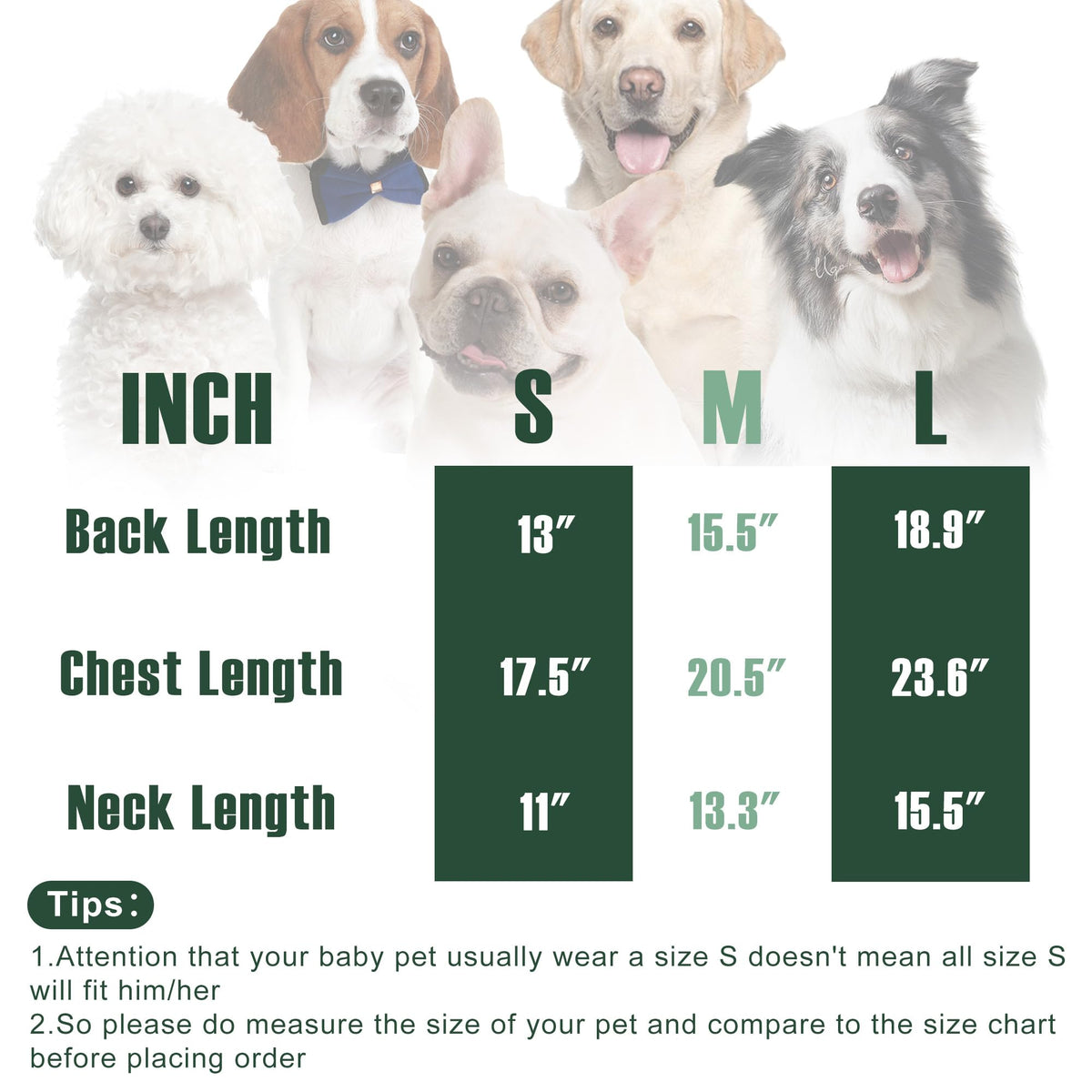 Dog Sweater Classic Turtleneck Knitted Striped Dog Sweaters (Green / Medium)
