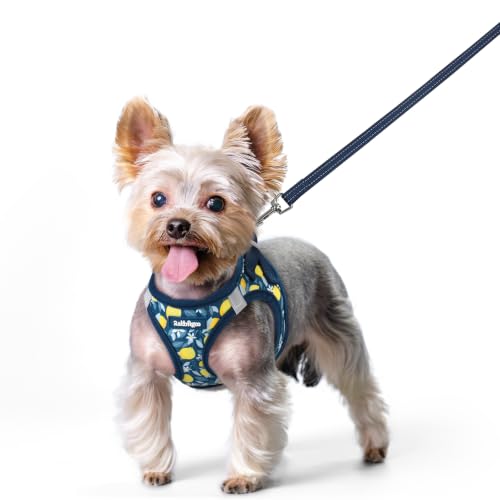 Dog Harness Small Sized and Leash Set (Navy Lemon / Xs (chest: 13.3 - 15.5"))