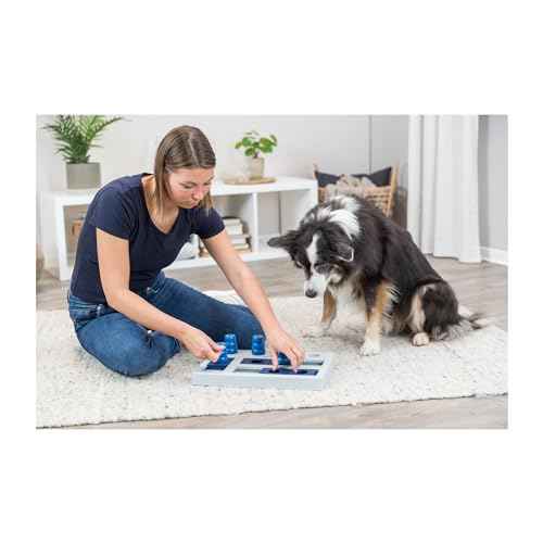 Chess Dog Activity Interactive Toy (Chess Game / Level 3)