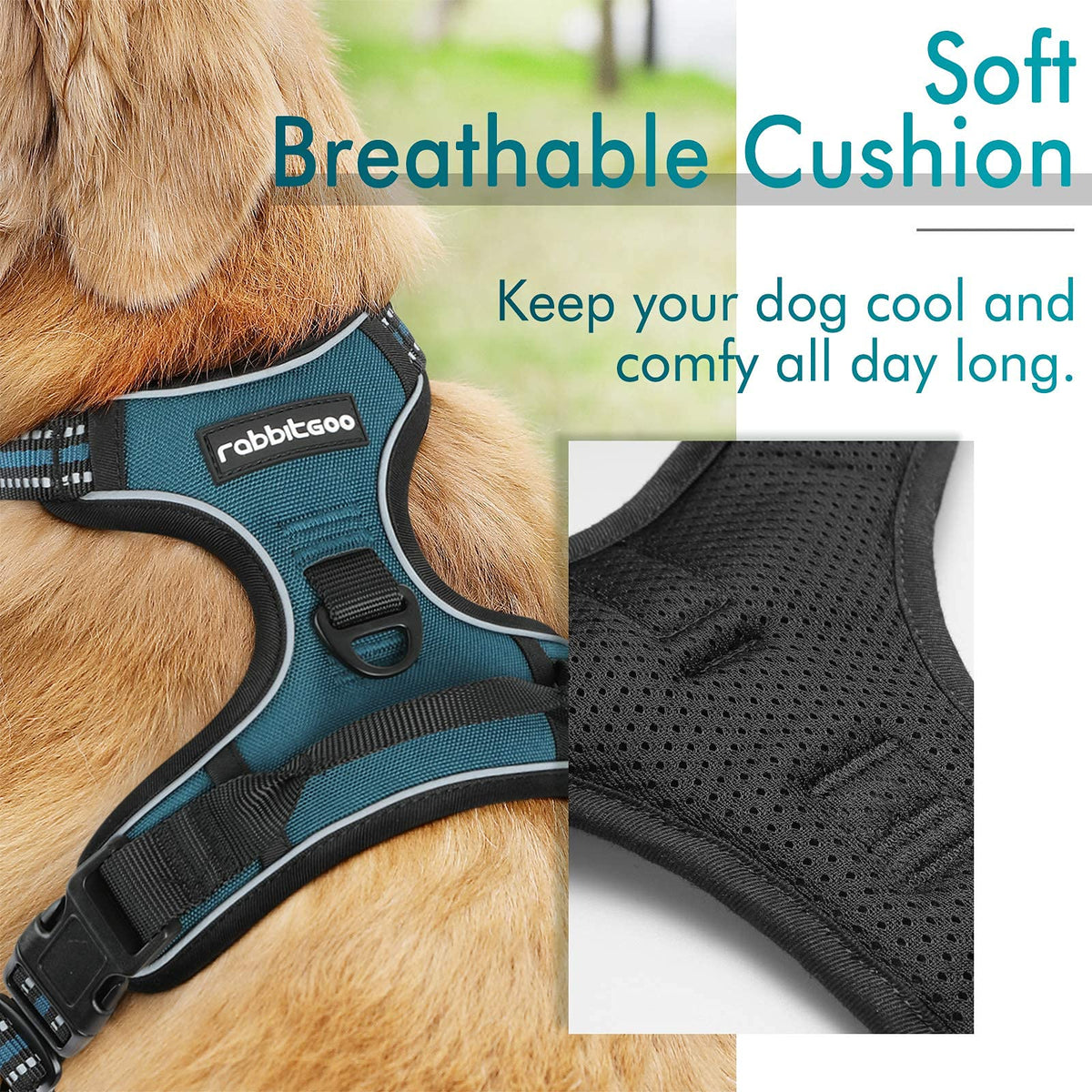 Dog Harness No Pull for Small Dogs with 2 Leash Clips (Small / Blue Coral)