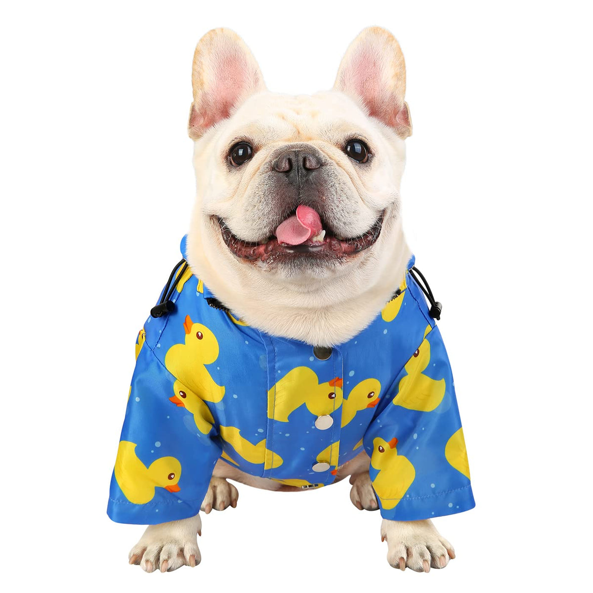 Premium 2 Layer Zip Dog Raincoat Poncho w (Large / Ducks Blue)