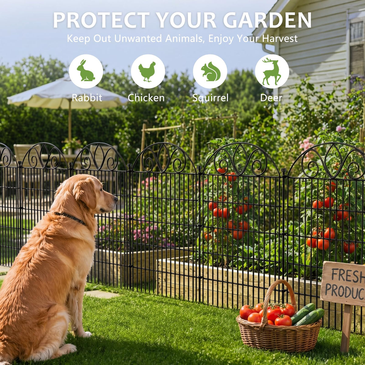 No Dig Garden Fence Outdoor for Yard (44 in(H) X 23.6 ft(L))