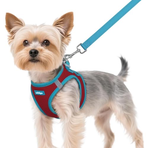 Dog Harness Small Sized and Leash Set (Red & Teal / XS (Chest: 13.3"-15.5"))